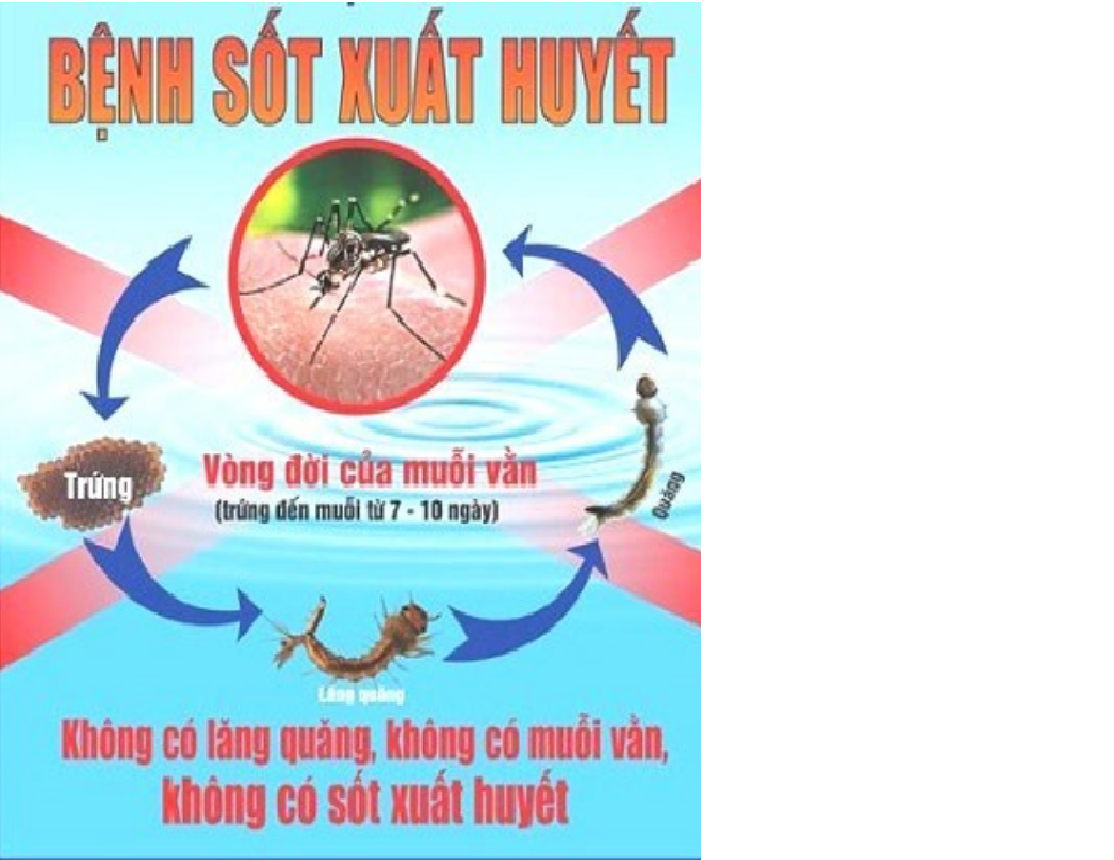 Tuyên truyền về phòng chống bệnh sốt xuất huyết